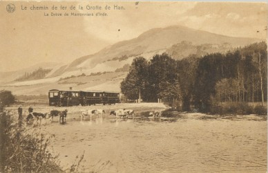 Han-sur-Lesse (3).jpg